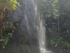 -本溪汤沟绿石谷森林公园