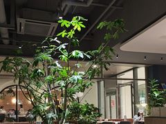 -农畉LONFOOD(万象天地店)