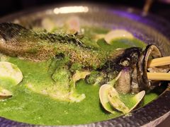 -狮拾久·现代新加坡料理(福田COCO Park店)