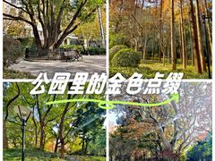 -徐家汇源景区-衡山公园