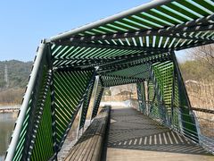 -西湖风景区-江洋畈生态公园