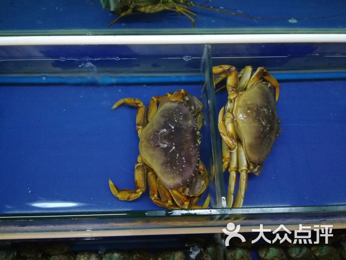 青年公社海鲜城海鲜图片 - 第15张