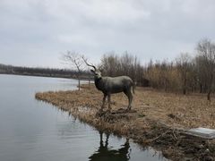 -溱湖国家湿地公园