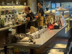 -25#COFFEE(古地石店)