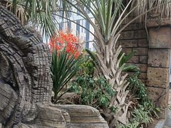 -悦隆庄温泉度假酒店