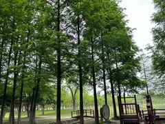 -滆湖低碳生态公园