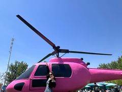 -秦皇岛乐岛海洋王国