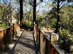 -云岫谷游猎自然风景区