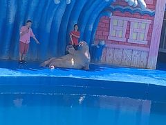 -华夏文旅海洋公园