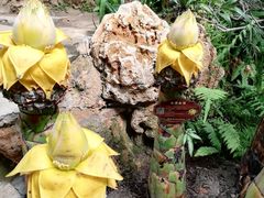 -南通洲际绿博园