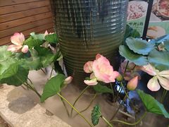 -润泽园椰子鸡(汇一城店)