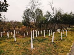 -白鹭湾湿地公园