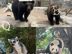 -灵玲国际马戏城