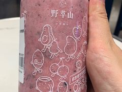 -野萃山·潮汕厚果汁(十亩地店)