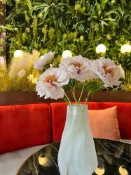 -花隐·美芙炫海菲秀皮肤管理中心