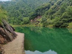 -大奇山国家森林公园