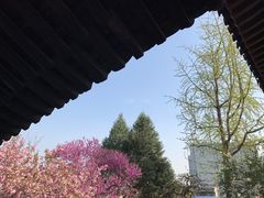 -西安青龙寺遗址景区