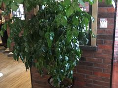 -老牌坊鲁菜名店(宽厚里店)