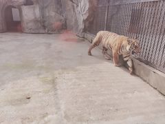 -南昌动物园