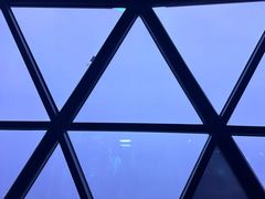 -东方明珠·空中旋转餐厅
