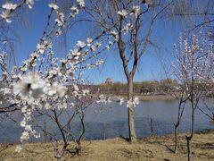 -南开大学(津南校区)