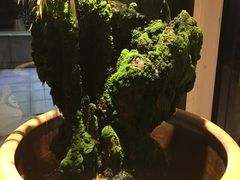 -鱼王府大酒店