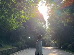 -南京市江宁方山
