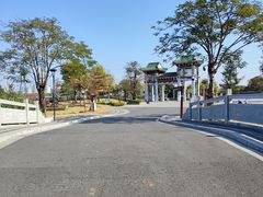 -王借岗森林公园