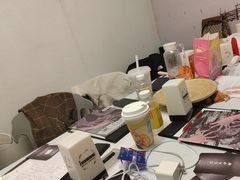 -戏精管理局·剧本杀·桌游·血染钟楼