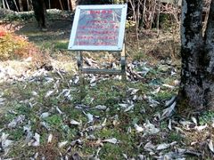 -祁门牯牛降观音堂风景区