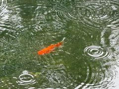 -东山雕花楼