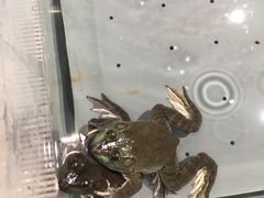 -永辉超市(鲁谷店)