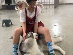 -星多哈·狗咖·拼豆·咖啡
