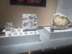 -抱璞文化展示中心