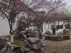 -八大山人梅湖景区