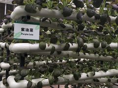 -长春农博园