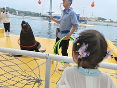 -秦皇岛乐岛海洋王国