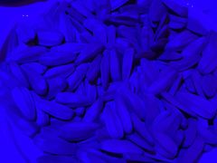 -阳光钱柜KTV(八一路店)