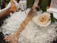 -菊上尊品料理(蚌埠银泰店)