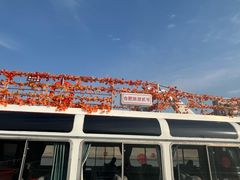 -合肥滨湖国家森林公园