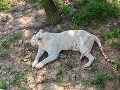-西霞口神雕山野生动物世界