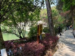 -铁山坪森林公园