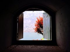 -三峡人家风景区