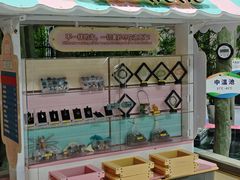 -兴芮温泉度假区