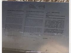 -美人鱼