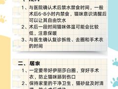 -北京观赏动物医院·24小时大型综合·猫专科·异宠专科