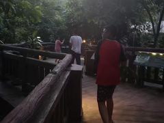 -清迈夜间动物园