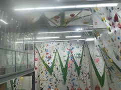-绿壁虎攀岩基地(Tcar店)