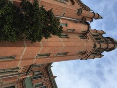 iphone_upload_pic-上海佘山国家森林公园西佘山园