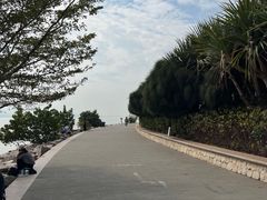 -深圳湾公园(南山区)